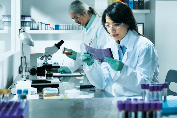 Investigación
