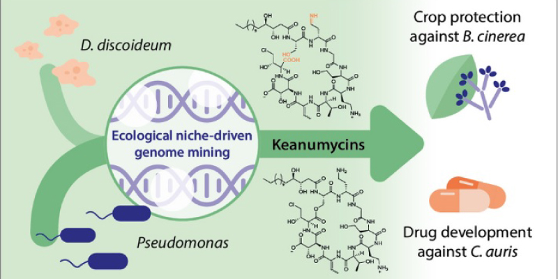 keanumicinas-utec-bioingenieria